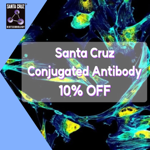[Santa Cruz] Conjugated Antibody 전제품 10% 할인