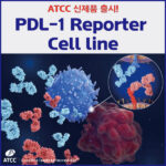 [ATCC] 신제품 출시! PD-L1 Reporter Cell Line for Checkpoint Inhibitor Screening