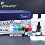 [Proteintech] 초보자도 쉽게 사용 가능한 All-in-One “IHCeasy Kits”