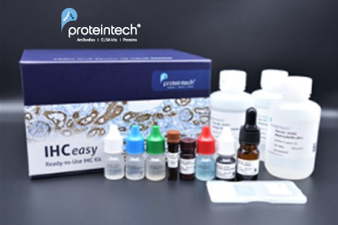 [Proteintech] 초보자도 쉽게 사용 가능한 All-in-One "IHCeasy Kits"