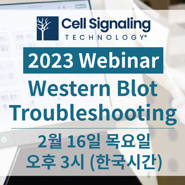 Cell Signaling Technology 2023 western blot webinar