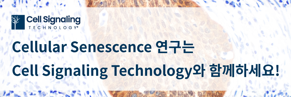 Cell Signaling Technology Cellular Senescence
