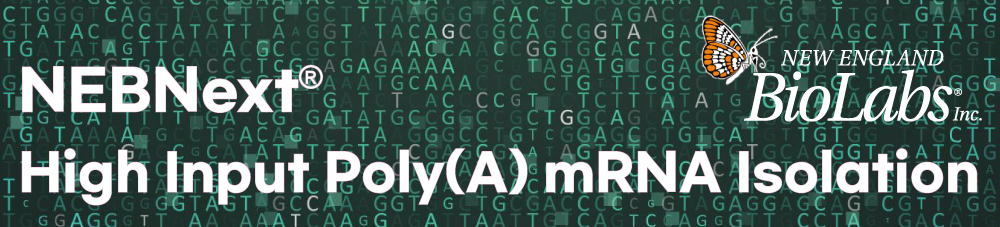 [NEB] 신제품 NEBNext® High Input Poly(A) mRNA Isolation Module