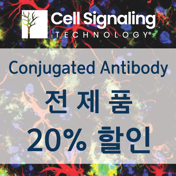 [Cell Signaling Technology] Conjugated Antibody 전제품 20% 할인 행사