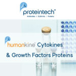 [Proteintech] HumanKine® CytoKines & Growth Factors를 선택해야 하는 이유