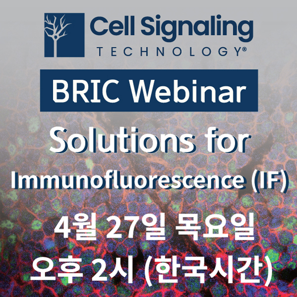 [Cell Signaling Technology 2023 BRIC Webinar] Solution for Successful Immunofluorescence (IF) : 성공적인 IF를 위한 솔루션