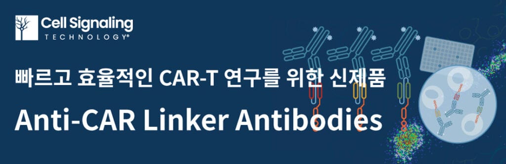 Anti-CAR Linker Antibodies Banner