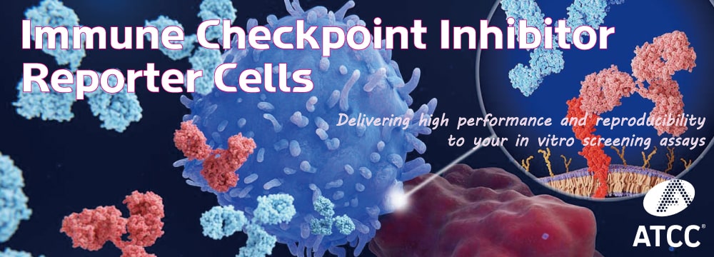 immune checkpoint inhibitor reporter cells