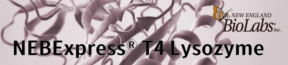 NEBExpress T4 Lysozyme banner