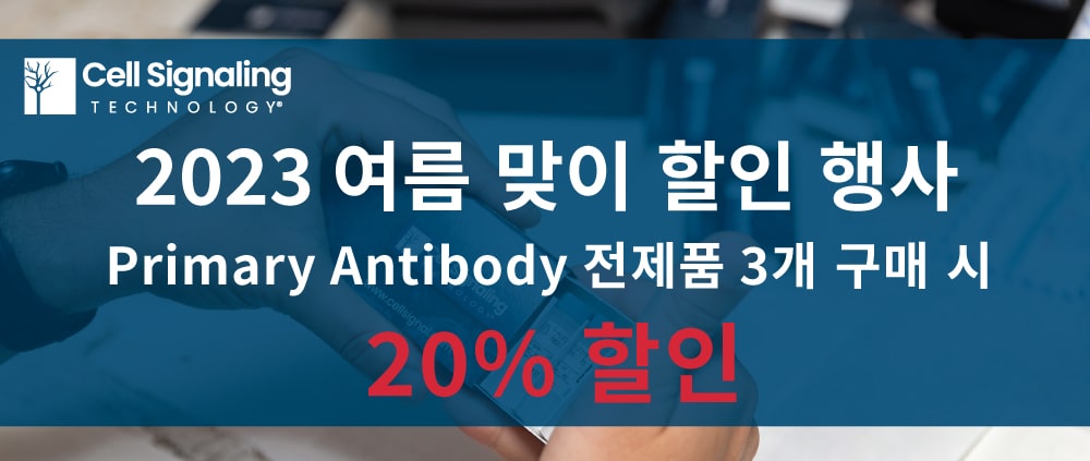 primary antibody discount