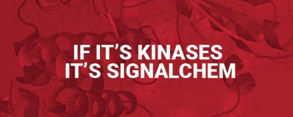 Signalchem kinase banner