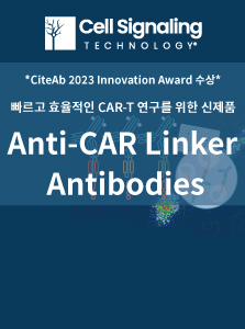 Cell Signaling Technology Anti-CAR linker Antibodies