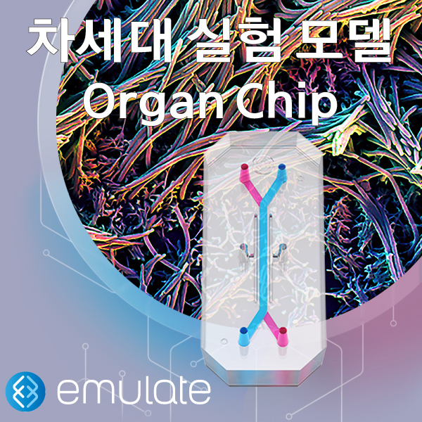 차세대 invitro 실험 모델 Organ-on-a-Chip