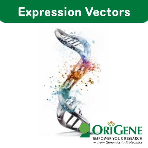 Expression Vectors - ORIGENE
