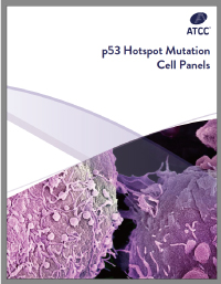 ATCC - p53Hotspot Mutation Cell Panels