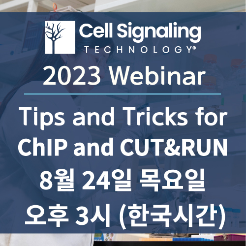 Cell Signaling Technology ChIP webinar
