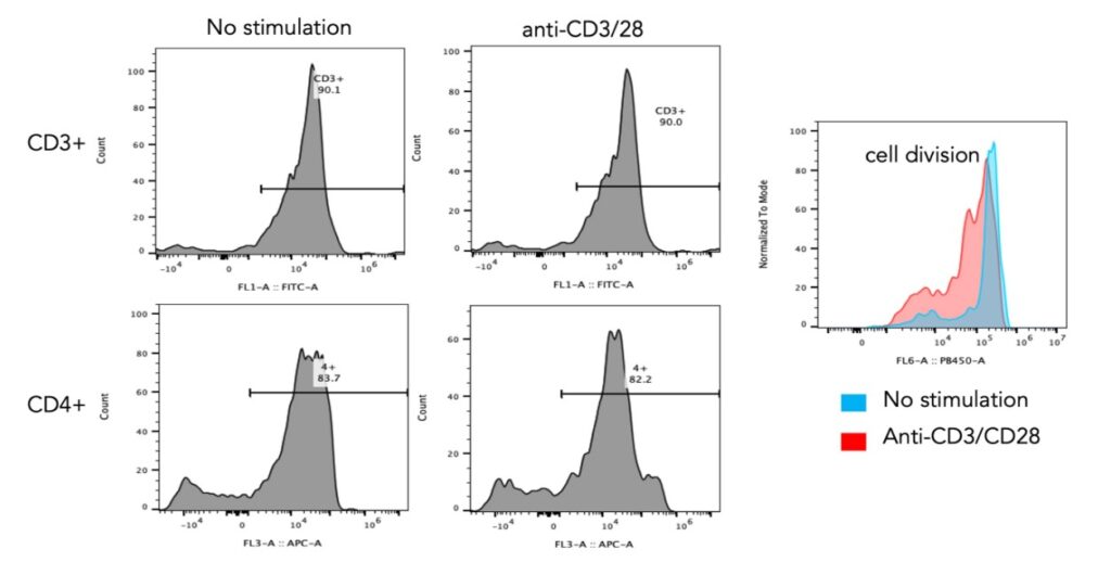 Enrichment of CD4+ T lymphocytes using Human CD4 Magnetic Beads_Proteintech_MS003