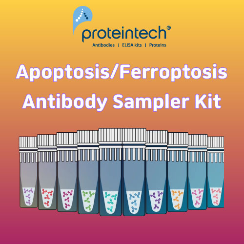 [Proteintech] Antibody Sampler Kits Launched