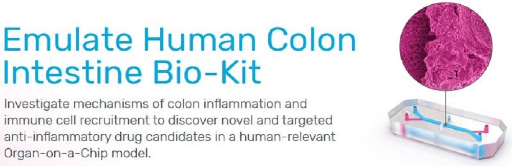 emulate human colon intestine bio-kit