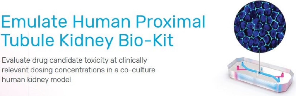 emulate human proximal tubule kidney bio-kit