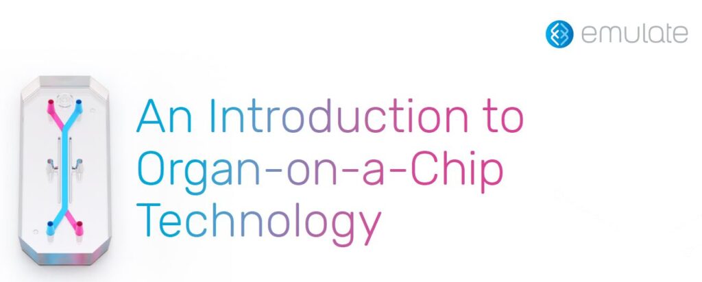 introduction to organ on a chip technology