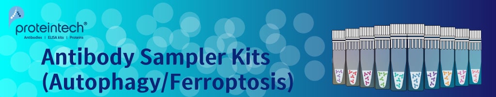 [Proteintech] Antibody Sampler Kits Launched banner