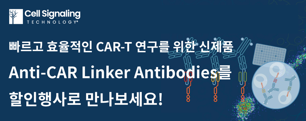 Cell Signaling Technology Anti-CAR Linker Antibodies 할인 행사