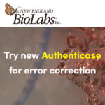 [NEB] Double-stranded DNA 오류 수정을 위한 Authenticase™