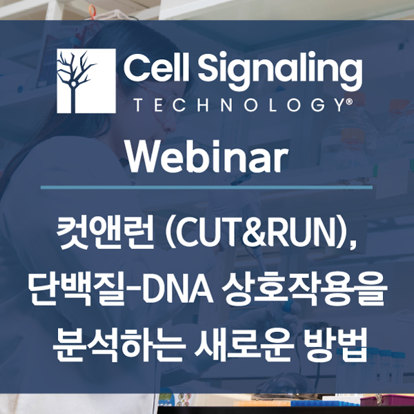 Cell Signaling Technology CUT&RUN