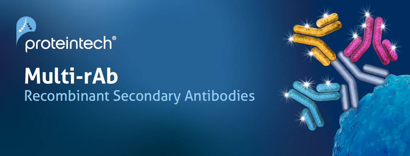 FlexAble_Antibody_labeling_kit