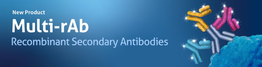 PTG_Multi-rAb_Recombinant_Secondary_Antibodies_Banner_1000x256