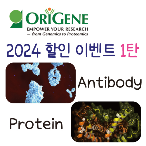 [ORIGENE] 2024 할인 이벤트 1탄 (Protein / Antibody / Lenti-ORF Particle)