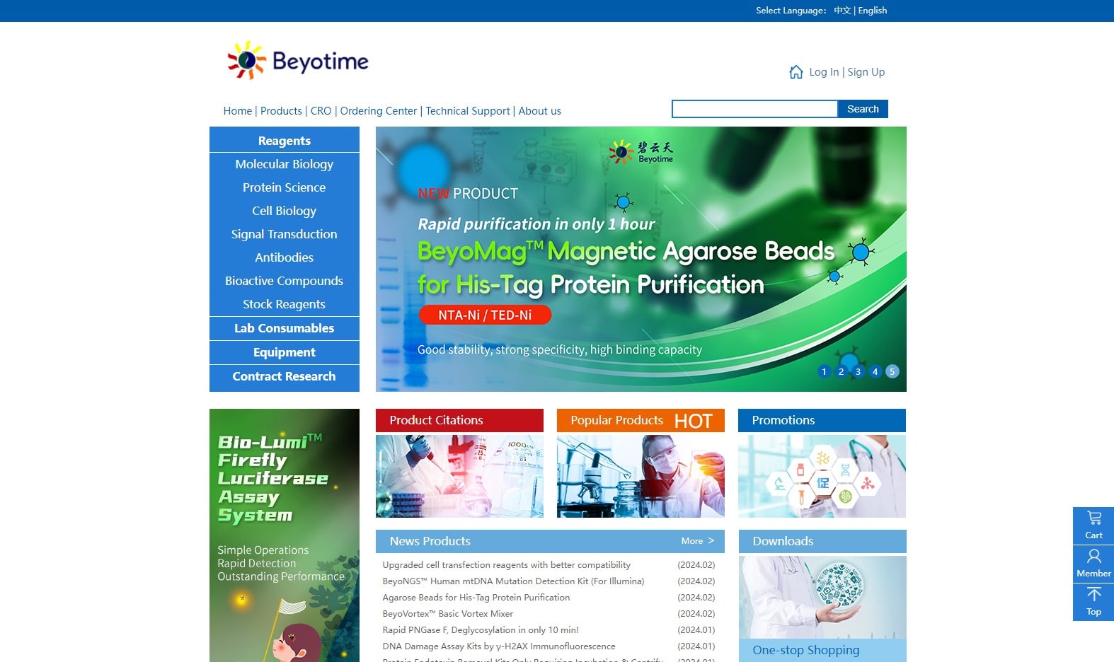 Beyotime homepage