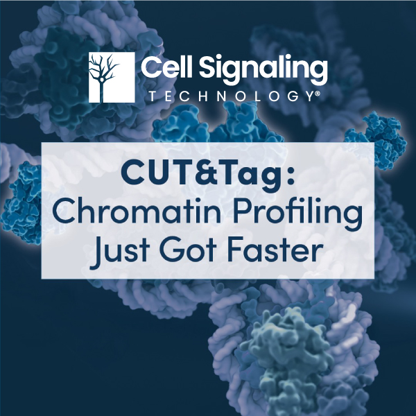 Cell Signaling Technology CUT&Tag