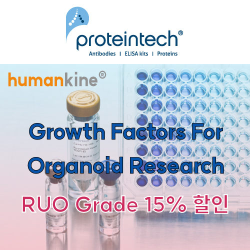[Proteintech] 오가노이드 연구자들을 위한 Growth Factors 15% 할인