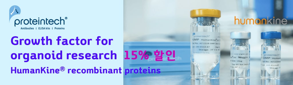 [Proteintech] 오가노이드 연구자들을 위한 Growth Factors 15% 할인 배너