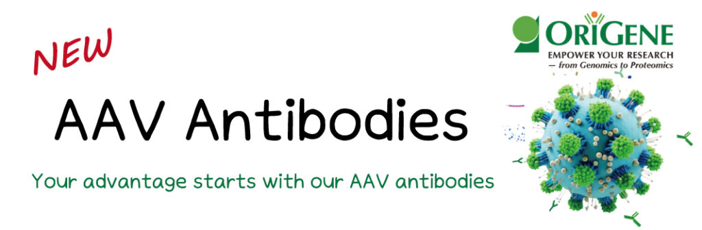 ORIGENE-AAV-Antibodies 배너