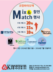 코람 2024 Mix&Match 행사