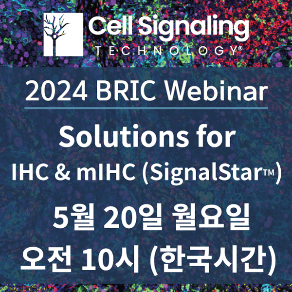Cell Signaling Technology 2024 BRIC webinar IHC