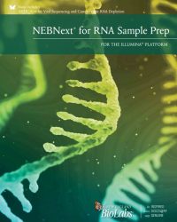 NEBNext for RNA Sample Prep