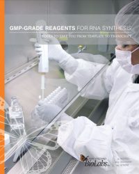 GMP-GRADE REAGENTS for RNA SYNTHESIS