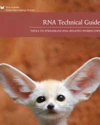 RNA Technical Guide